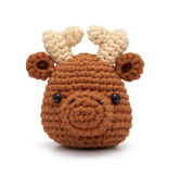 Beginner Crochet Kit