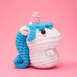 Beginner Crochet Kit
