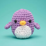 Beginner Crochet Kit