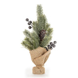 Blue Berry & Cone Pine Tree