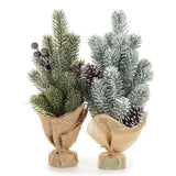 Blue Berry & Cone Pine Tree