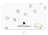 Dog Days Mini Notes