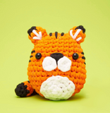 Beginner Crochet Kit