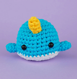 Beginner Crochet Kit