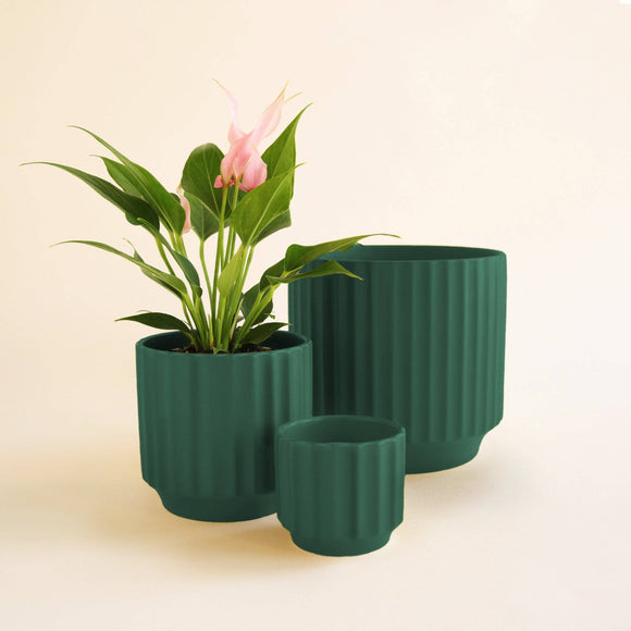 Monroe Planter - Rainforest