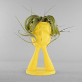 Stonehenge Air Plant Holder