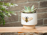 Emboss Bee Planter