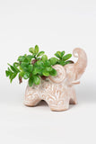 Trumpeting Elephant Planter