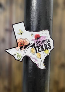 Dripping Springs, Texas Magnet