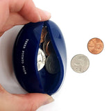 Plant Money Coin Purse