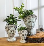 Large Woman Head Planter