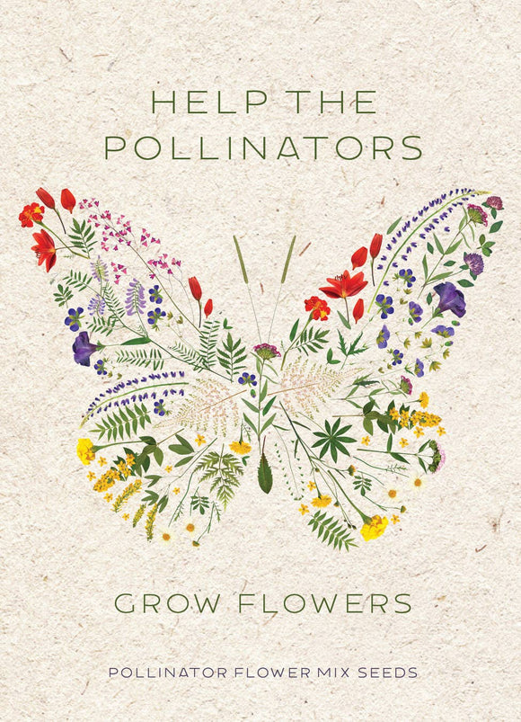 Help Pollinators Butterfly Pollinator Wildflower Mix