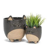 Sm Cat on Legs Planter