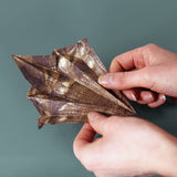 Paper Dinos | DIY Origami Kit