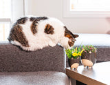 Sm Cat on Legs Planter