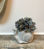 Cement Snail Planter