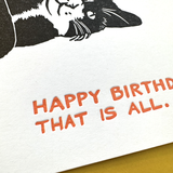Cat Birthday