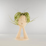 Stonehenge Air Plant Holder