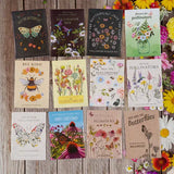 Help Pollinators Butterfly Pollinator Wildflower Mix