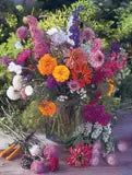 Help Pollinators Butterfly Pollinator Wildflower Mix