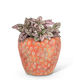 Strawberry Planter