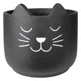 Cat Cachepot