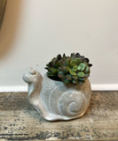 Cement Snail Planter