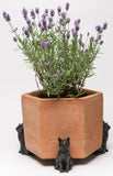 Sitting Cat Plant Pot Feet - Set of 3