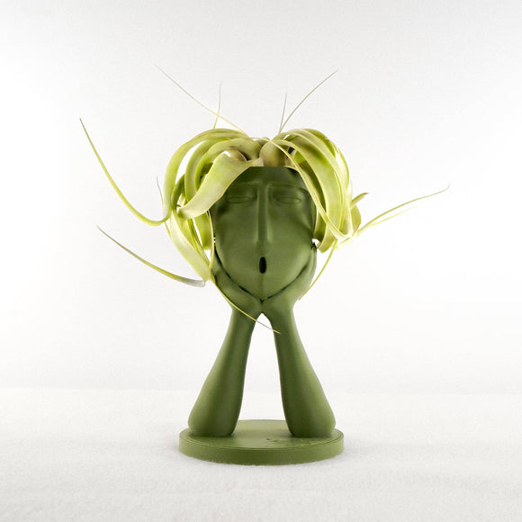 Stonehenge Air Plant Holder