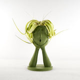 Stonehenge Air Plant Holder