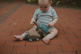 Armadillo Plush Toy