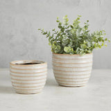 Striped Ceramic Pot