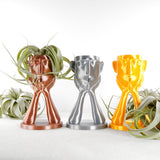 Stonehenge Air Plant Holder