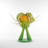 Stonehenge Air Plant Holder