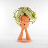 Stonehenge Air Plant Holder