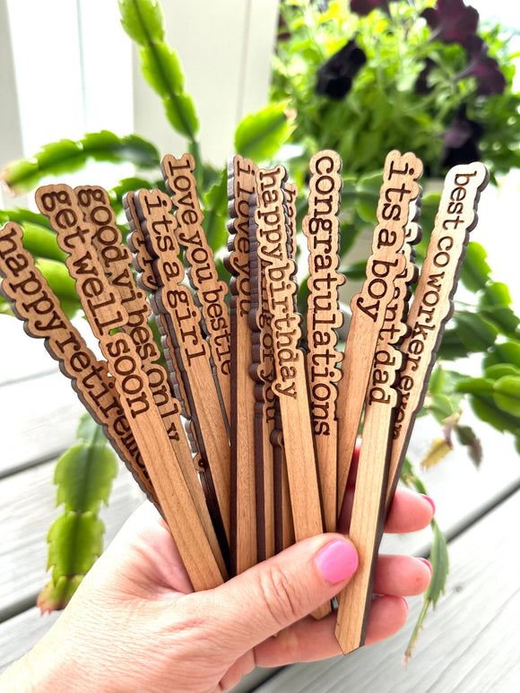 Everyday Plant Sticks