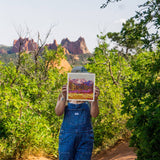 Capitol Peak Art Print