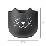 Cat Cachepot