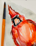 Beginner Watercolor Class: Birds March 24, 2024