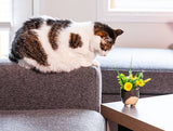 Sm Cat on Legs Planter