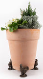 Chicken Plant Pot Feet - Set of 3