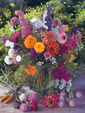 Bee Kind - Pollinator Wildflower Seeds