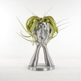 Stonehenge Air Plant Holder