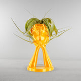 Stonehenge Air Plant Holder