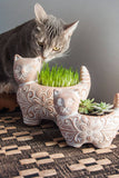 Garden Kitty Planter (Large)