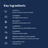 BOOM CICA WOW Gel Cleanser Men's Skin