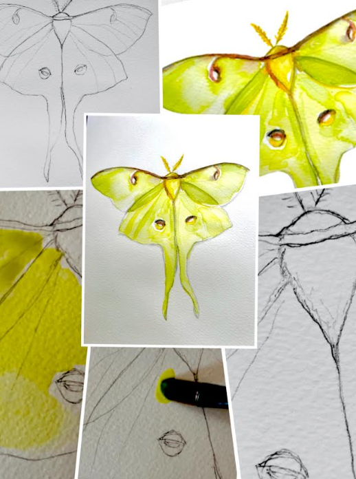 10-25 - Beginning Watercolor Class MOTHS(Saturday October 25, 6-8 pm)