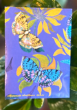 Pollinator Seed Packets