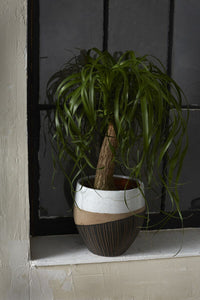 Oco Pot