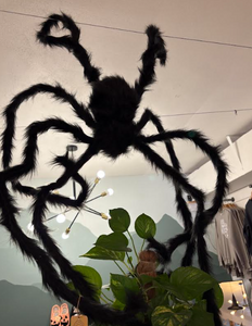 LARGE fuzzy spider